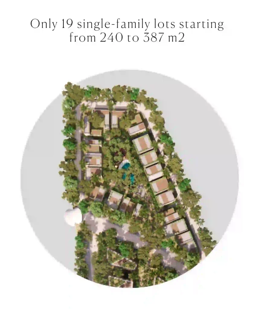 Forest Single-family Lots