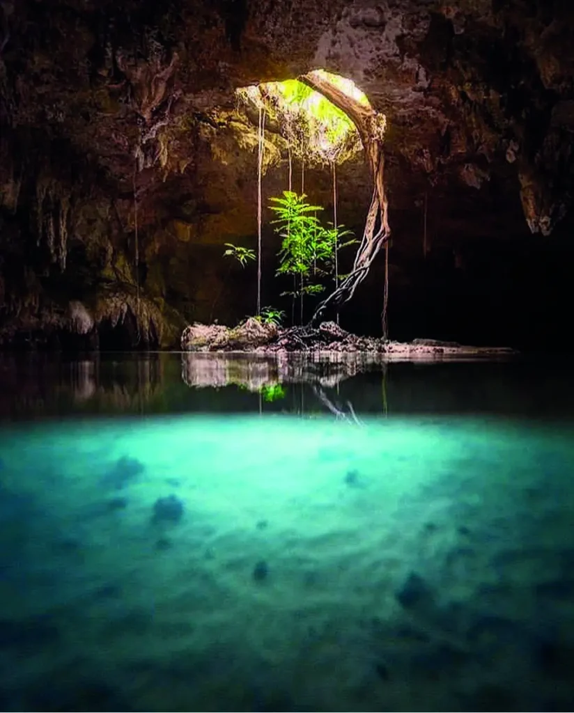 Le Rêve Cenote